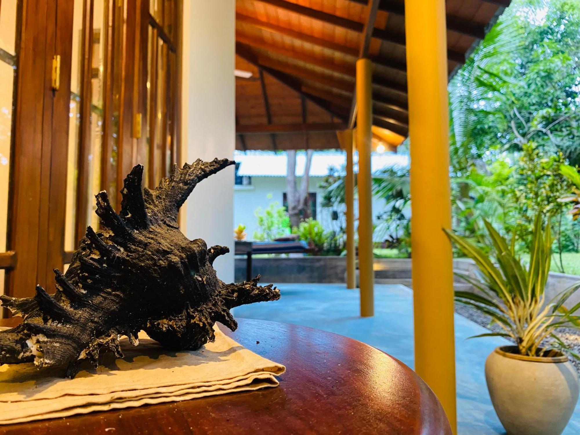 See Turtle Villa Tangalle Dış mekan fotoğraf